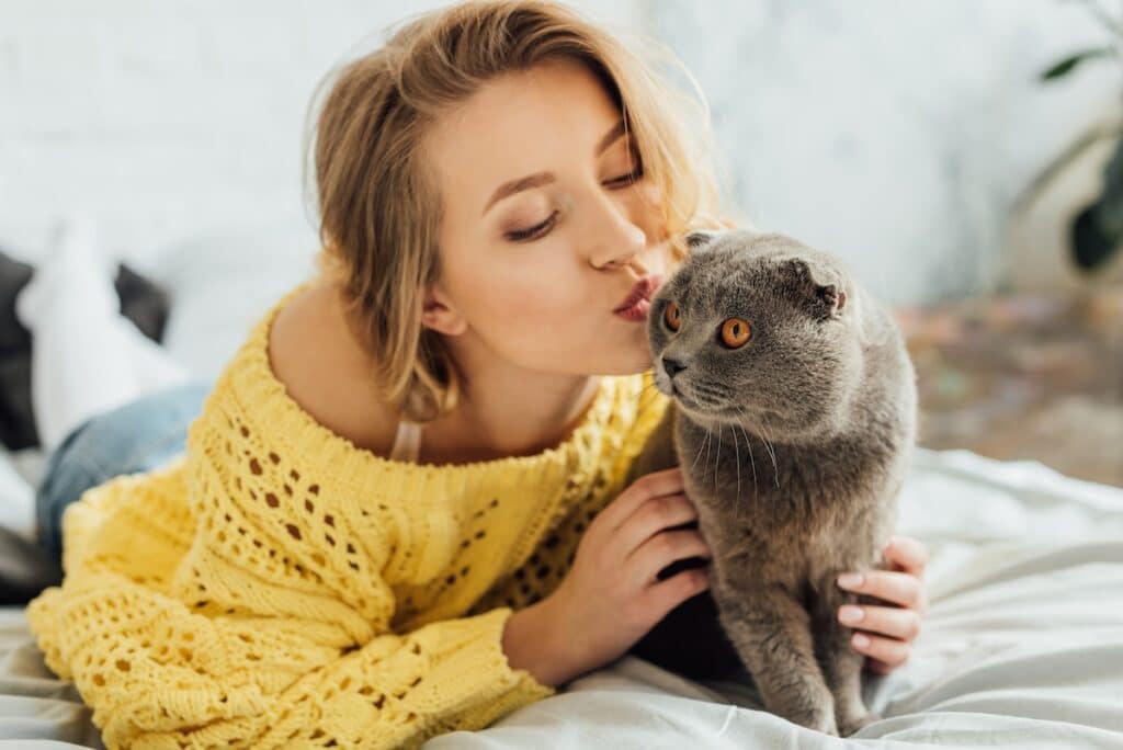 beautiful girl in knitted sweater pouting lips and hugging adorable scottish fold cat at home
